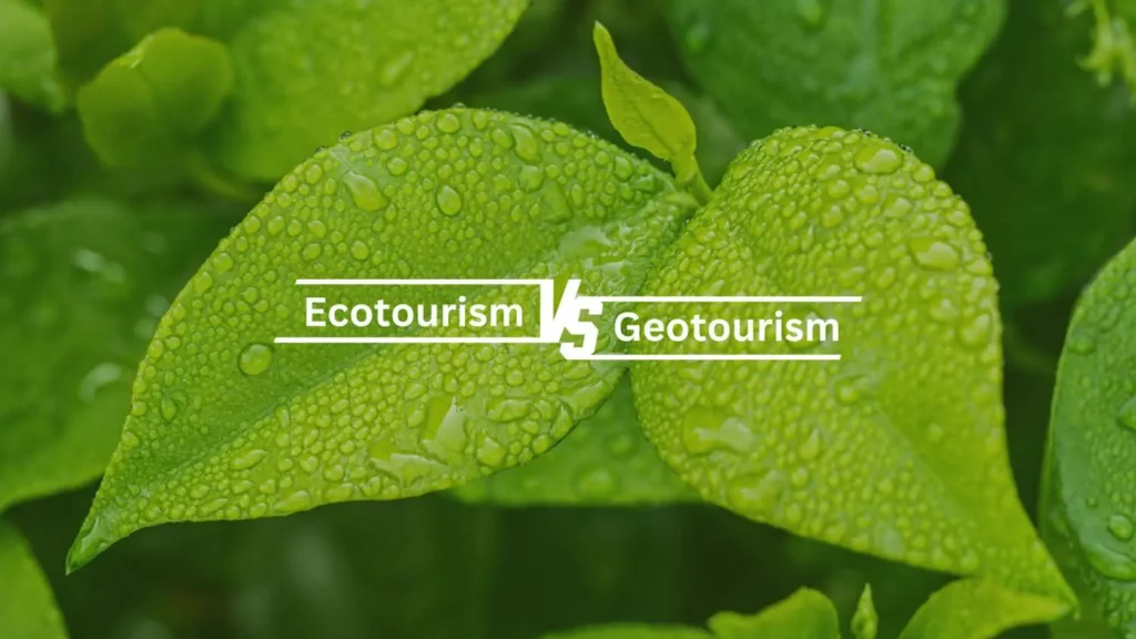 ecotourism-vs-geotourism